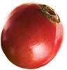 cherry