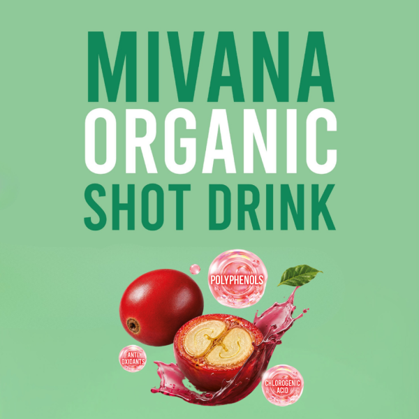 KV (1)